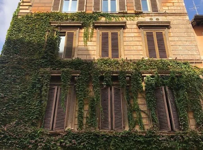 Vatican Color House